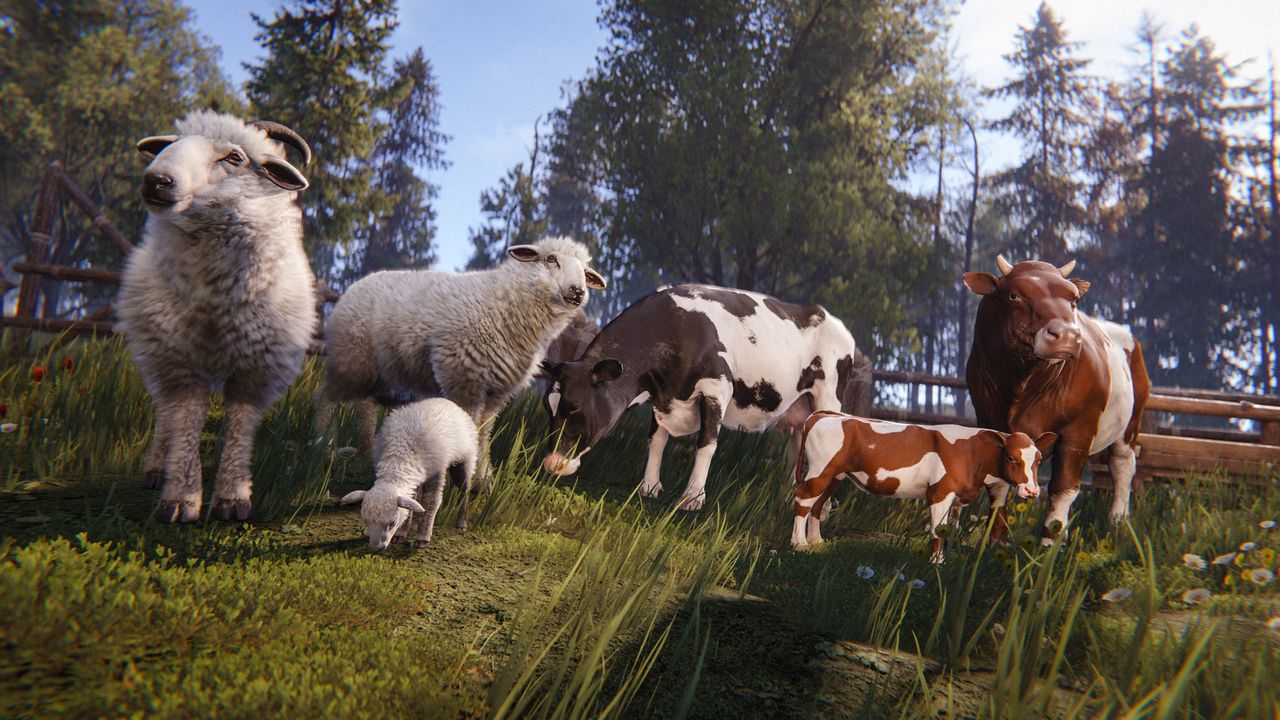 LIVESTOCK
